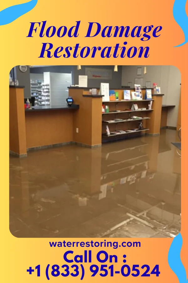 Flood Damage Restoration in Pine Castle, FL