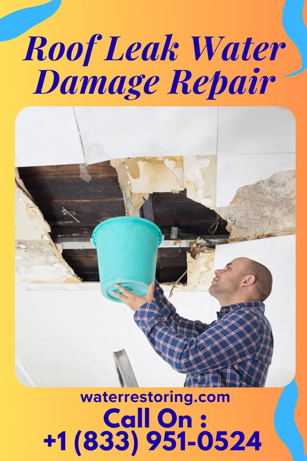 Roof Leak Water Damage Repair in Pine Castle, FL